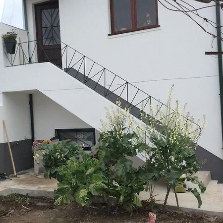 Casa Isabel 2 Bedroom Apartment Near Porto Fanzeres エクステリア 写真