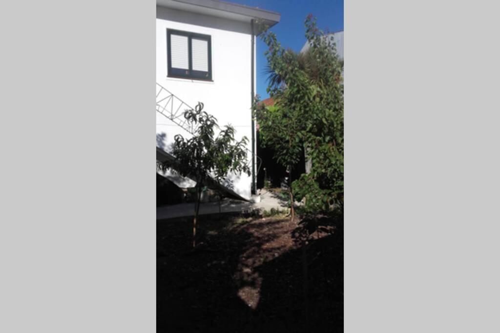 Casa Isabel 2 Bedroom Apartment Near Porto Fanzeres エクステリア 写真