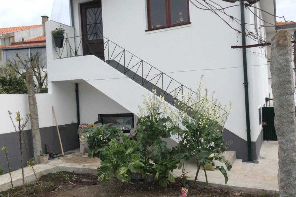 Casa Isabel 2 Bedroom Apartment Near Porto Fanzeres エクステリア 写真
